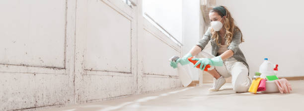 Mold Documentation for Insurance Claims in Limestone Creek, FL